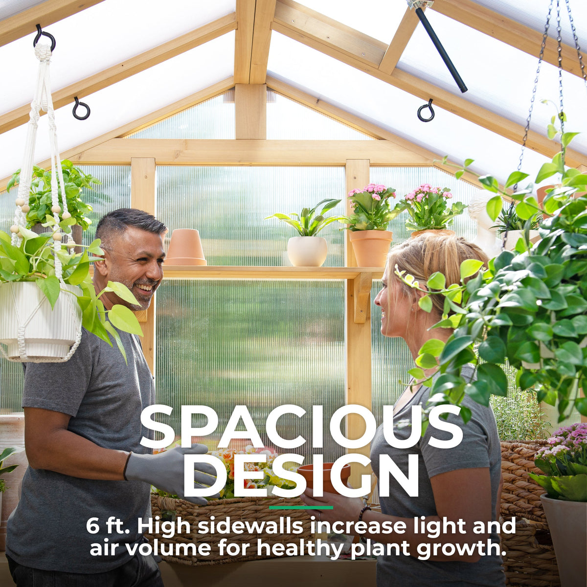 Yardistry 6.7' x 9.7' Meridian Greenhouse YM11950XCOM