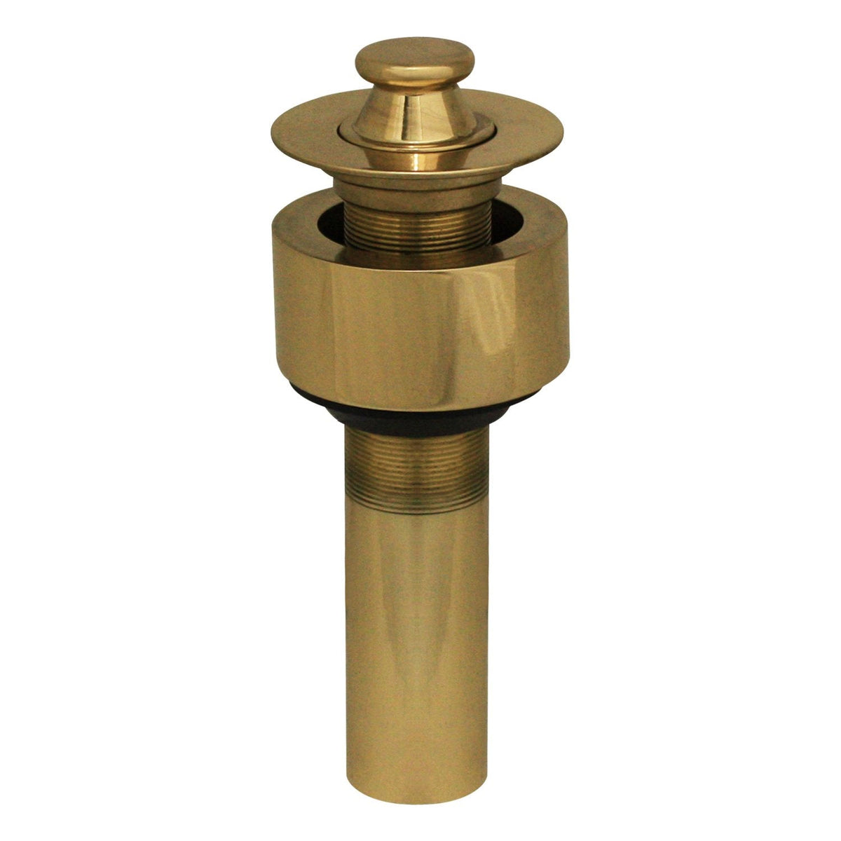 Whitehaus Lift and Turn Polished Brass Drain with Pull-up Plug 10.515-B - Vital Hydrotherapy