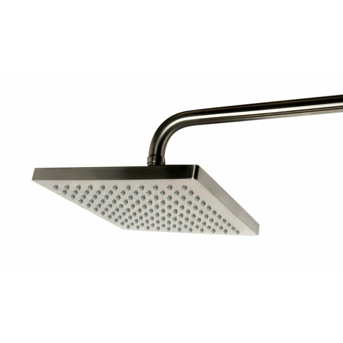ALFI AB2862-BN Brushed Nickel rain showerhead in a white background