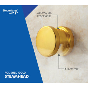 SteamSpa Polished Gold steam head with label (Aroma oil reservoir and steam vent) - Vital Hydrotherapy