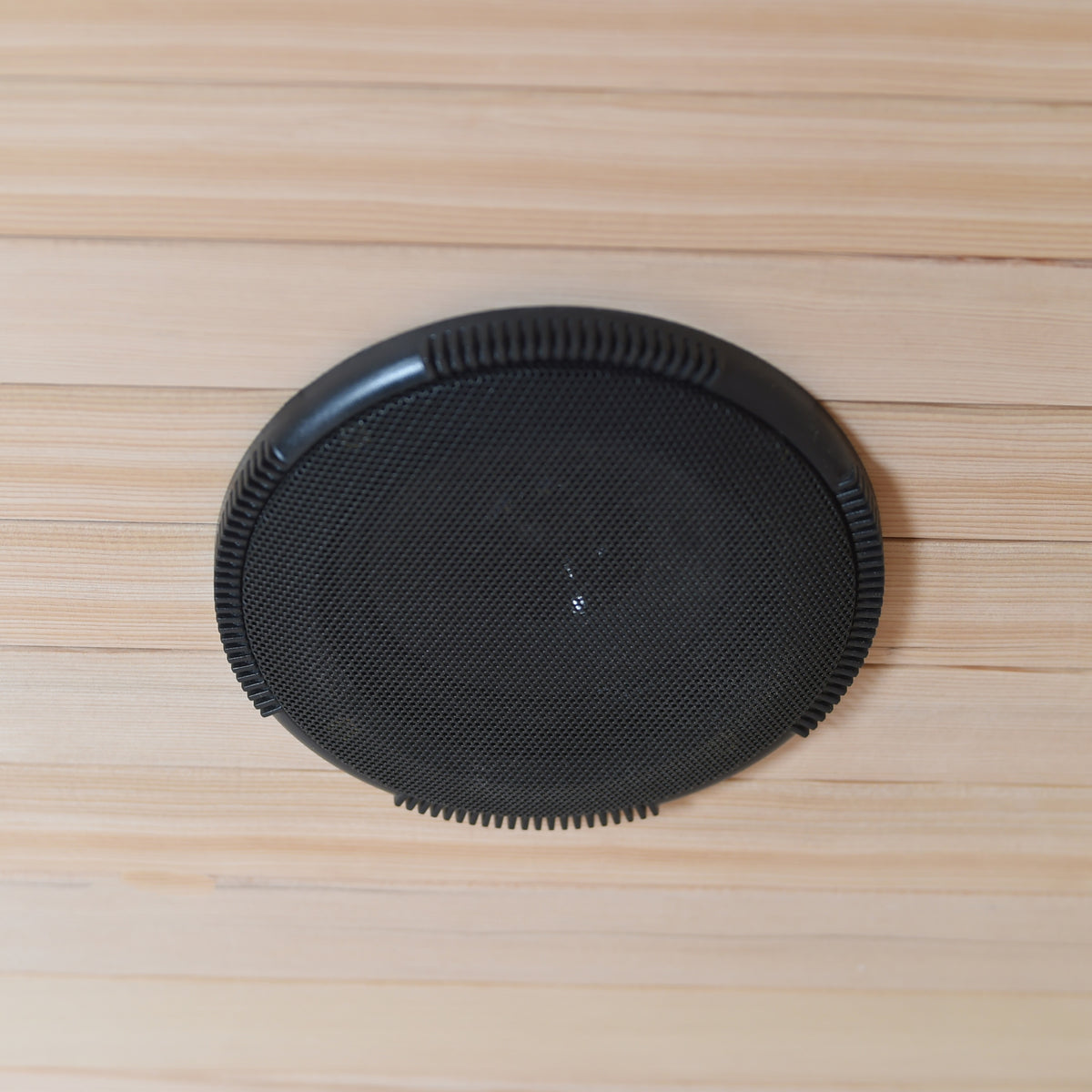 SunRay Bristow - Speaker