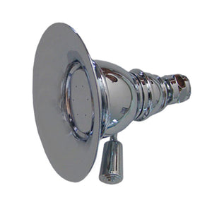 Whitehaus Showerhaus Small Round Rainfall Showerhead with Spray Holes - Solid Brass Construction with Adjustable Ball Joint WHOSA30-4.3 - Vital Hydrotherapy
